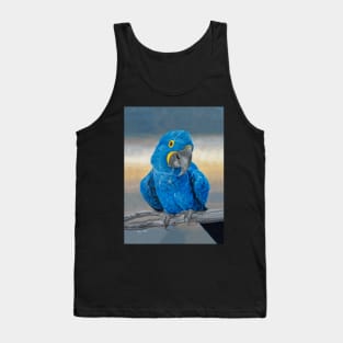 Hyacinth Macaw Tank Top